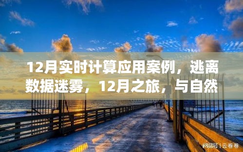 12月實(shí)時(shí)計(jì)算應(yīng)用案例，數(shù)據(jù)迷霧中的逃離之旅與自然美景的實(shí)時(shí)對(duì)話