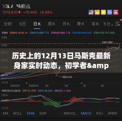 揭秘馬斯克最新身家動(dòng)態(tài)，歷史上的12月13日追蹤詳解與初學(xué)者進(jìn)階指南