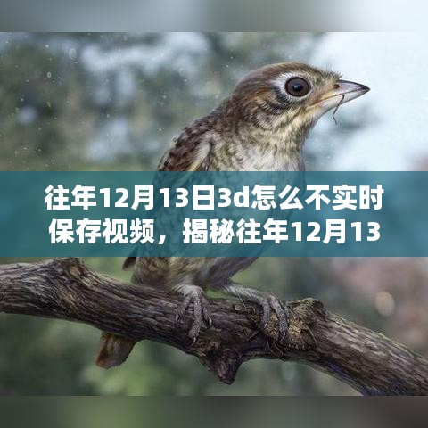 揭秘，為何往年12月13日3D技術(shù)未能實(shí)時(shí)保存視頻的背后真相