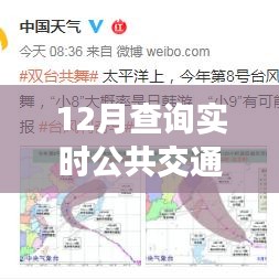 與實時出行共舞，12月實時公共交通查詢指南