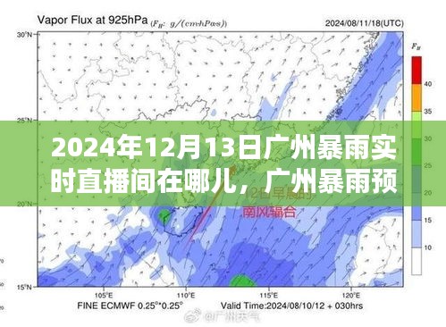 2024年廣州暴雨預(yù)警及實時直播間觀看指南