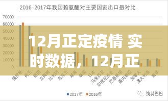 12月正定疫情實時數(shù)據(jù)深度分析與解讀