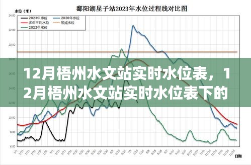 多維度觀察與思考下的梧州水文站實時水位表分析