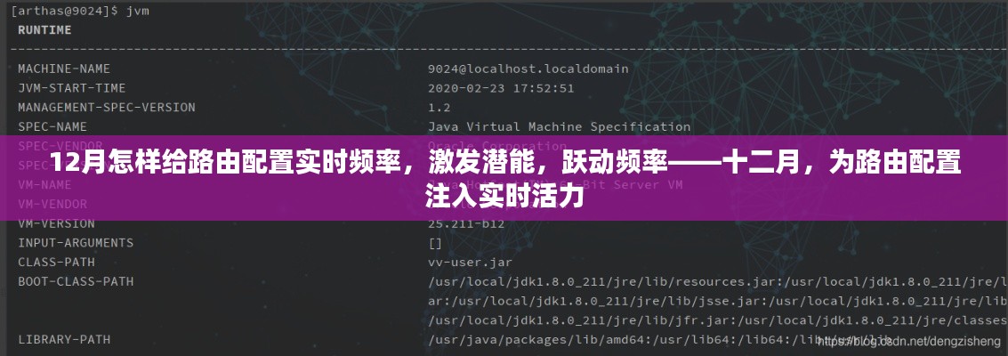 十二月路由配置實時優(yōu)化，激發(fā)潛能，躍動頻率，注入實時活力