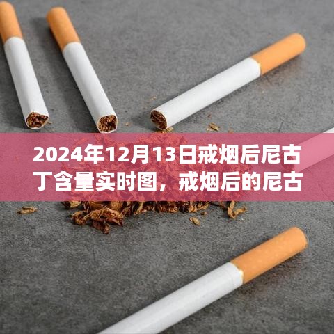 戒煙后尼古丁含量變化深度解讀，實時圖揭示戒煙過程尼古丁含量變化軌跡（圖文詳解）