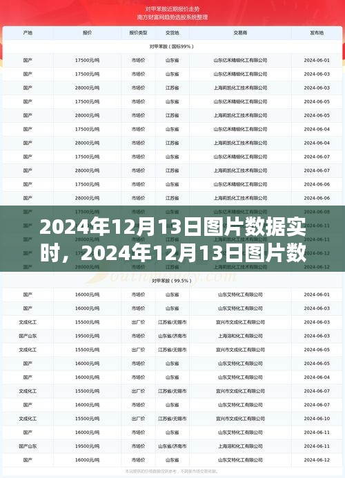 2024年12月13日?qǐng)D片數(shù)據(jù)實(shí)時(shí)獲取與處理步驟指南，從初學(xué)者到進(jìn)階用戶的全面指南