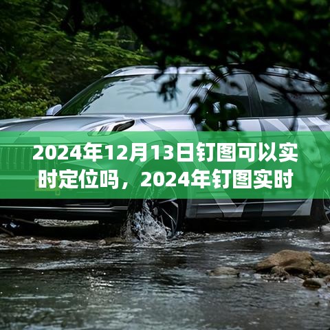 關(guān)于釘圖實時定位功能解析，能否在2024年12月13日實現(xiàn)實時定位