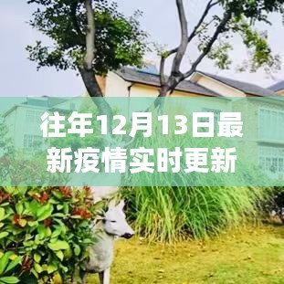 良渚疫情實(shí)時(shí)更新，科技助力重塑疫情防控新紀(jì)元