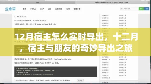 十二月宿主與朋友的奇妙導(dǎo)出之旅，實(shí)時(shí)操作指南