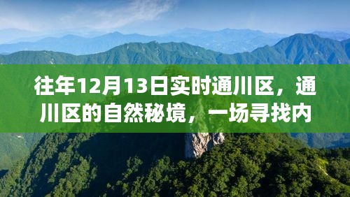 通川區(qū)自然秘境，尋找內(nèi)心平靜的奇妙之旅，12月13日實(shí)時(shí)探索之旅