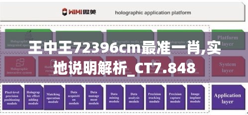 王中王72396cm最準(zhǔn)一肖,實地說明解析_CT7.848