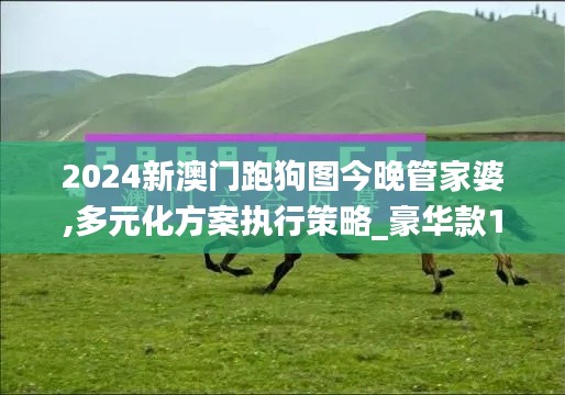 2024新澳門跑狗圖今晚管家婆,多元化方案執(zhí)行策略_豪華款1.998