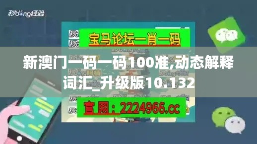 新澳門一碼一碼100準,動態(tài)解釋詞匯_升級版10.132