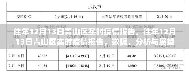 往年12月13日青山區(qū)疫情實時報告，數(shù)據(jù)、分析與未來展望