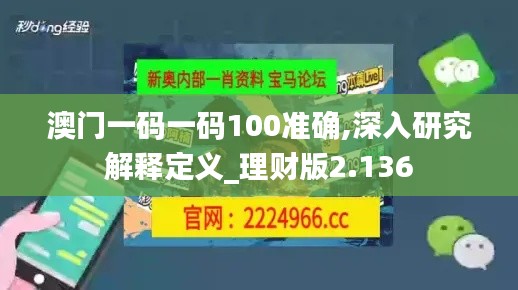 澳門一碼一碼100準確,深入研究解釋定義_理財版2.136