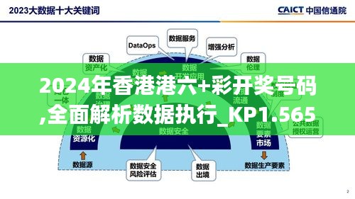 2024年香港港六+彩開獎號碼,全面解析數(shù)據(jù)執(zhí)行_KP1.565