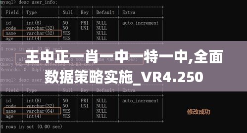 王中正一肖一中一特一中,全面數(shù)據(jù)策略實施_VR4.250