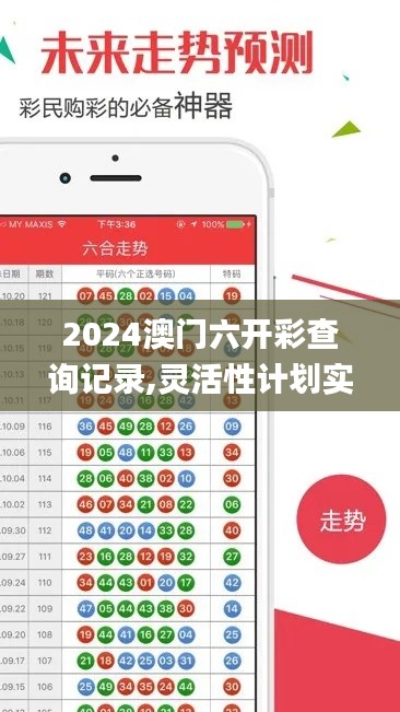 2024澳門六開彩查詢記錄,靈活性計(jì)劃實(shí)施_WP8.642