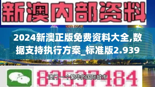 2024新澳正版免費(fèi)資料大全,數(shù)據(jù)支持執(zhí)行方案_標(biāo)準(zhǔn)版2.939