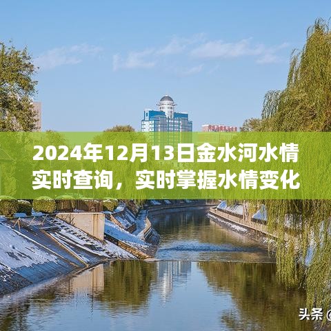 2024年12月13日金水河水情實時解析與最新水情掌握