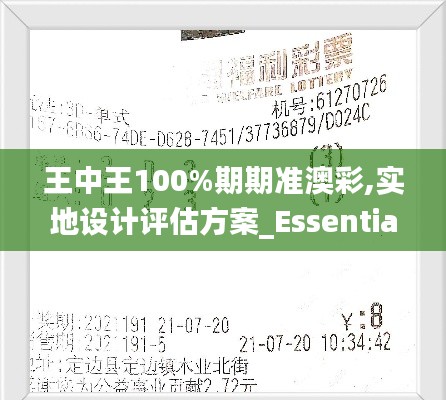 王中王100%期期準(zhǔn)澳彩,實(shí)地設(shè)計(jì)評(píng)估方案_Essential2.191