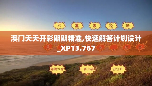 澳門天天開彩期期精準,快速解答計劃設計_XP13.767