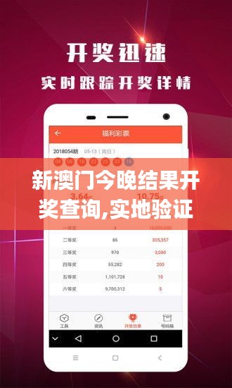 新澳門(mén)今晚結(jié)果開(kāi)獎(jiǎng)查詢(xún),實(shí)地驗(yàn)證數(shù)據(jù)應(yīng)用_AP4.272