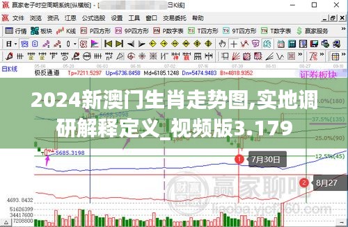 2024新澳門生肖走勢(shì)圖,實(shí)地調(diào)研解釋定義_視頻版3.179