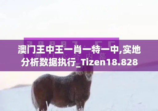 澳門王中王一肖一特一中,實地分析數(shù)據(jù)執(zhí)行_Tizen18.828