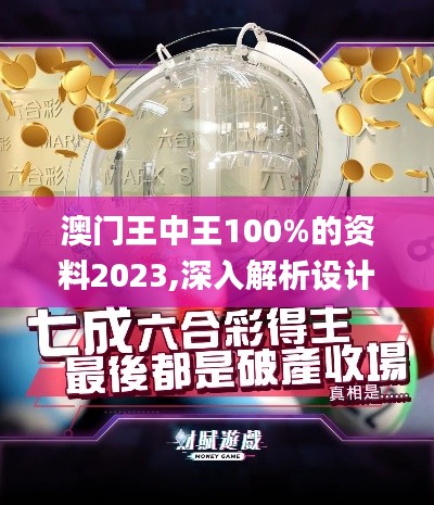 澳門王中王100%的資料2023,深入解析設(shè)計(jì)數(shù)據(jù)_VR8.530