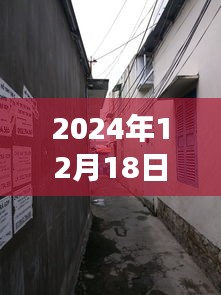 山東寒亭天氣預(yù)報(bào)下的美食驚喜之旅，小巷深處的暖意饗堂探秘