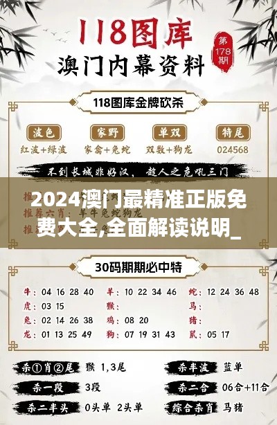 2024澳門最精準正版免費大全,全面解讀說明_R版4.569