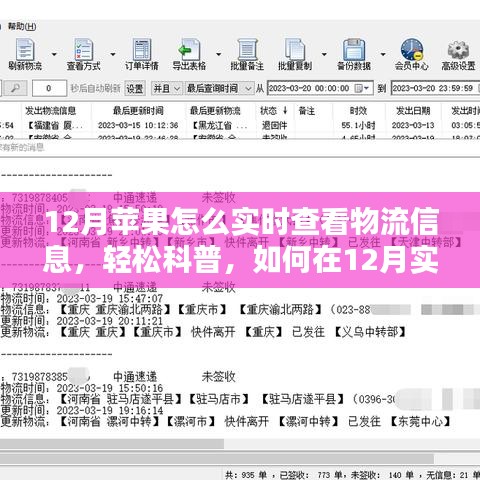 12月蘋果產(chǎn)品物流實時跟蹤指南，輕松科普如何查看物流信息