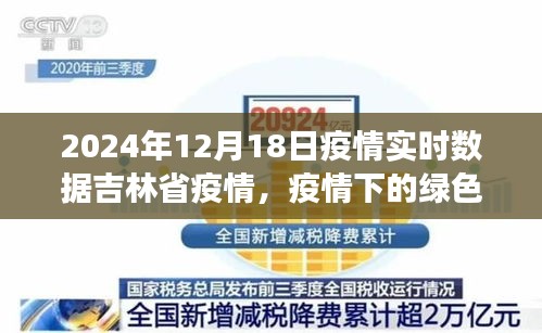 吉林省疫情下的綠色避風(fēng)港與心靈寧?kù)o的自然探索之旅（實(shí)時(shí)數(shù)據(jù)更新）