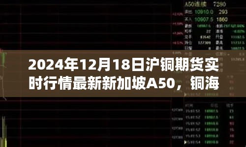 2024年12月19日 第20頁