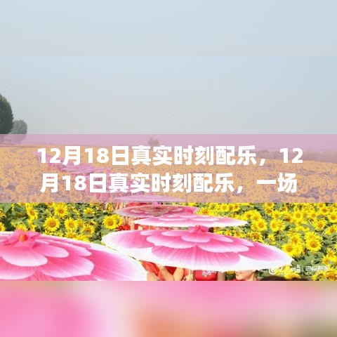 12月18日真實(shí)時(shí)刻配樂，音樂的盛宴，情感隨旋律流淌