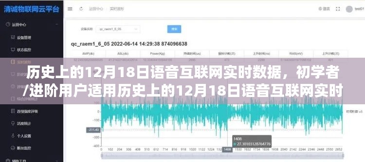歷史上的12月18日語(yǔ)音互聯(lián)網(wǎng)實(shí)時(shí)數(shù)據(jù)探索指南，初學(xué)者與進(jìn)階用戶適用