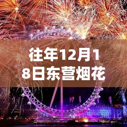 往年12月18日東營(yíng)煙花實(shí)時(shí)直播路徑，全面評(píng)測(cè)與詳細(xì)介紹