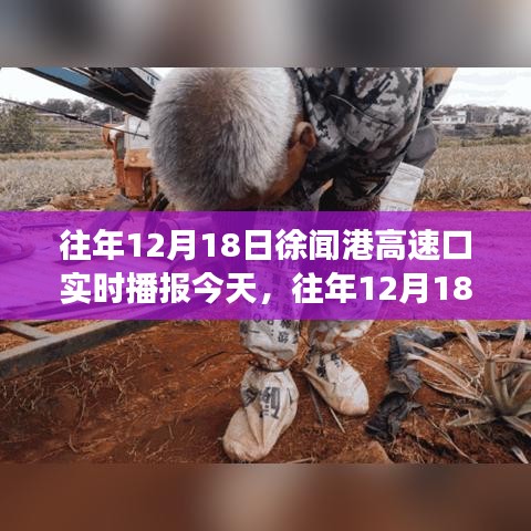 歷年12月18日徐聞港高速口實(shí)時(shí)播報(bào)，今日交通狀況分析與影響觀察