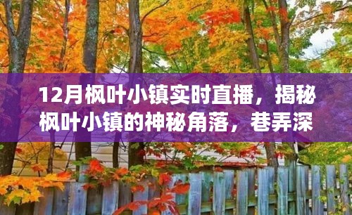 12月楓葉小鎮(zhèn)深度探索，神秘角落與巷弄小店的直播揭秘