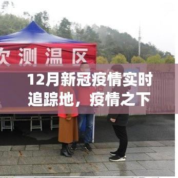 深度解析，12月新冠疫情實時追蹤地，疫情之下的觀察與追蹤