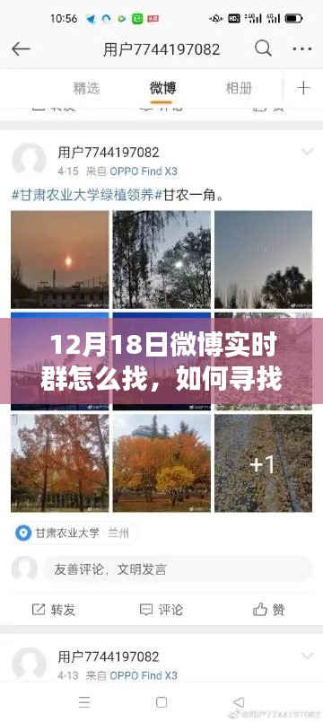 如何尋找12月18日微博實時群的方法指南