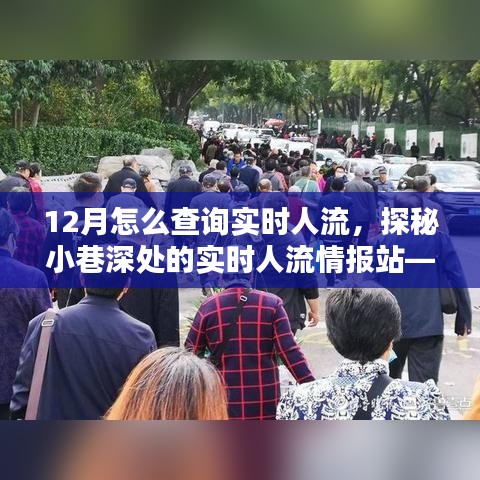 探秘隱藏式人流查詢指南，實(shí)時(shí)掌握小巷深處人流情報(bào)的秘訣