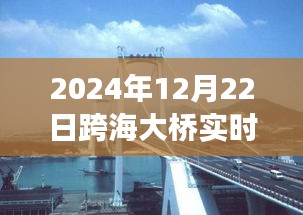 跨海大橋壯麗景色與寧靜之旅，實時探尋橋梁下的秘密之旅（2024年跨海大橋?qū)崟r報道）