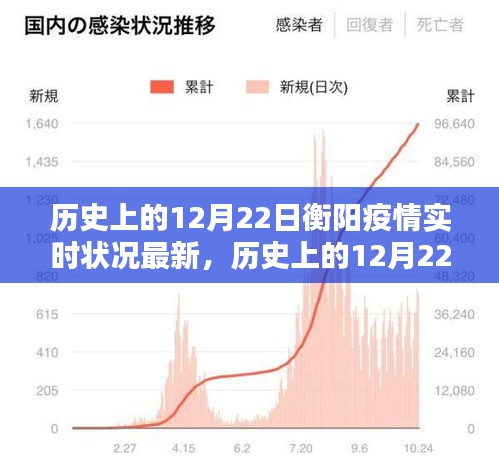 歷史上的12月22日衡陽疫情實時狀況深度解析與最新評測