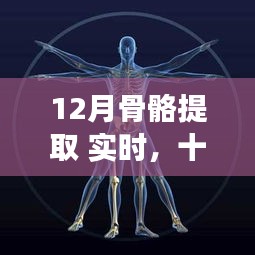 深度探究，十二月骨骼提取——歷史背景、重大事件與領(lǐng)域地位實時解析