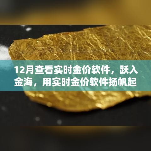 躍入金海，實時金價軟件助你揚帆起航，金銀財富與自信人生的學(xué)習(xí)之旅