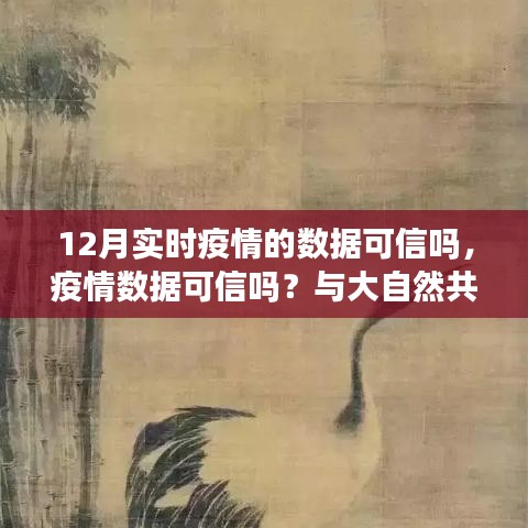 12月疫情數(shù)據(jù)可靠性分析及尋找內(nèi)心寧靜之旅