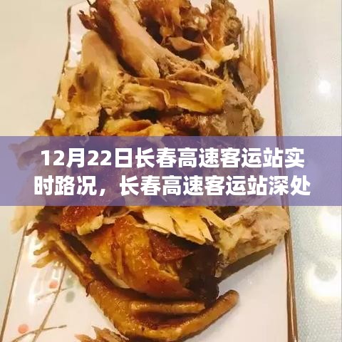 長春高速客運站實時路況與隱藏瑰寶，小巷特色小店的奇遇