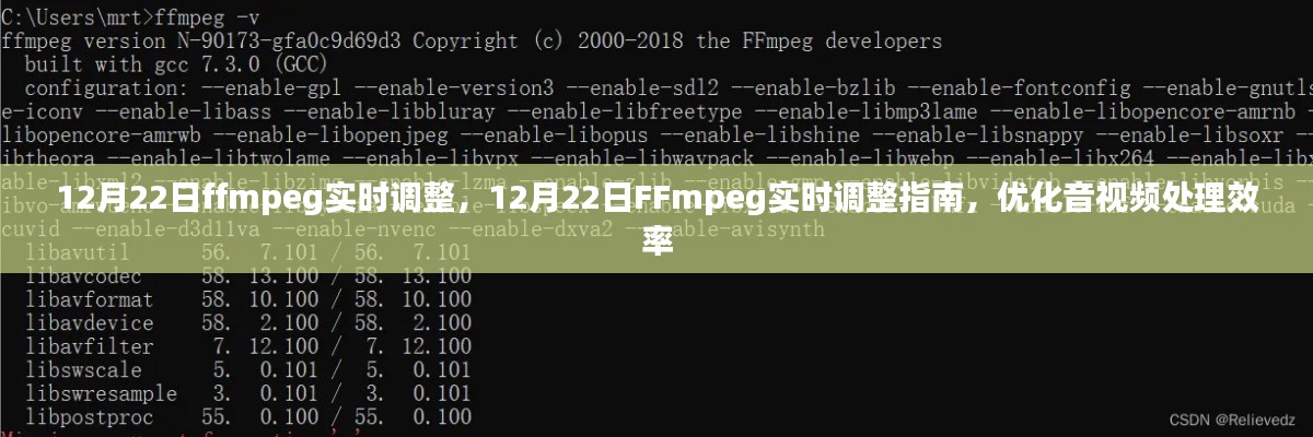 FFmpeg實(shí)時(shí)調(diào)整指南，提高音視頻處理效率的優(yōu)化策略（12月22日）